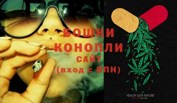 трава Сатка